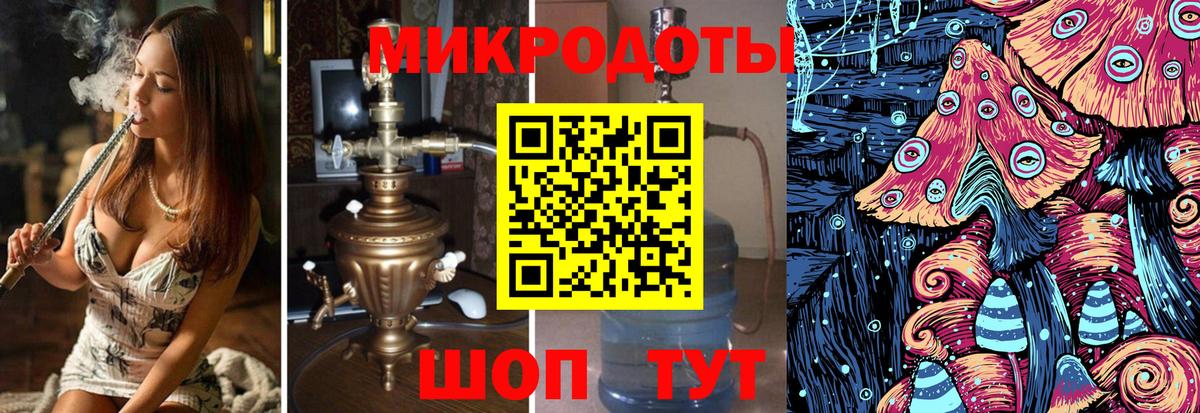 Псилоцибиновые грибы Psilocybe Иваново